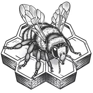 An illustration of a honeybee standing on hexagonal honeycomb.